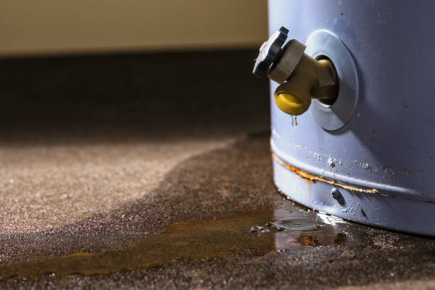 Trusted MN Water damage restoration Experts