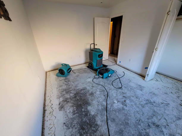 Best Water damage restoration services  in Waseca, MN