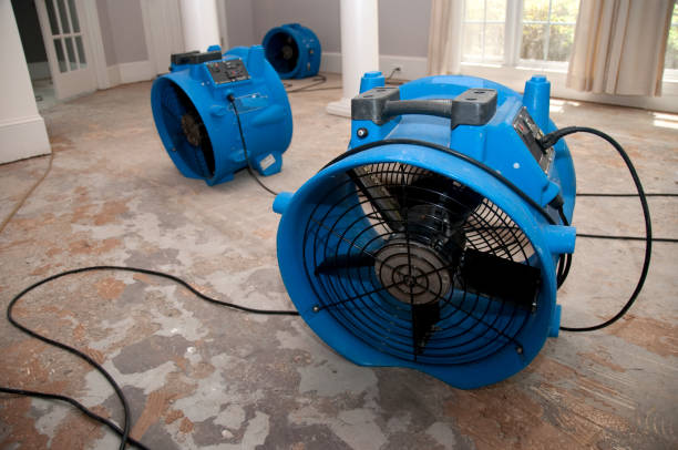 Best Basement water damage restoration  in Waseca, MN