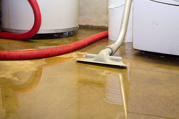Best Flooded house restoration  in Waseca, MN