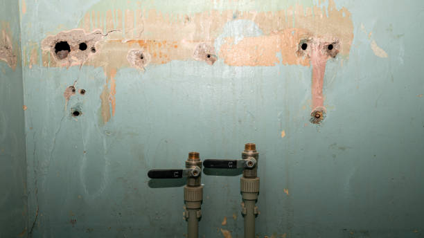 Best Flood restoration services  in Waseca, MN