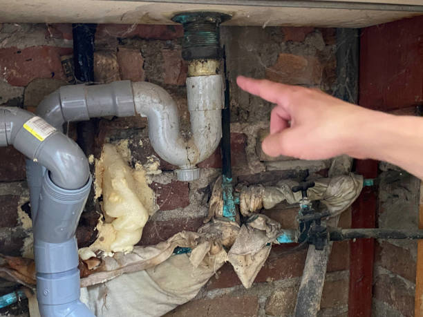 Best Water damage restoration cost  in Waseca, MN